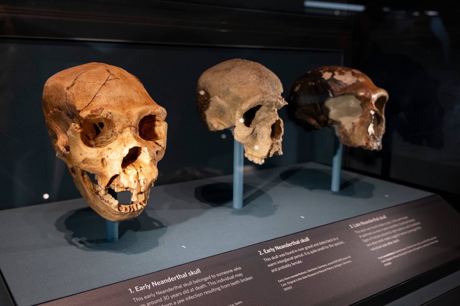 Million-Year-Old Skull in China Could Rewrite Human Evolution - Men's ...