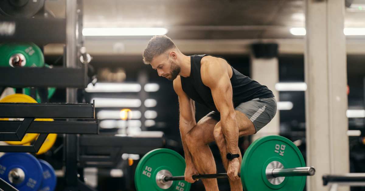 Magazine - Workout PLANS