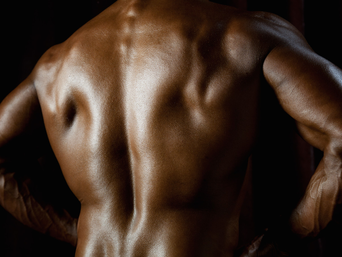 body-builders-back.jpg
