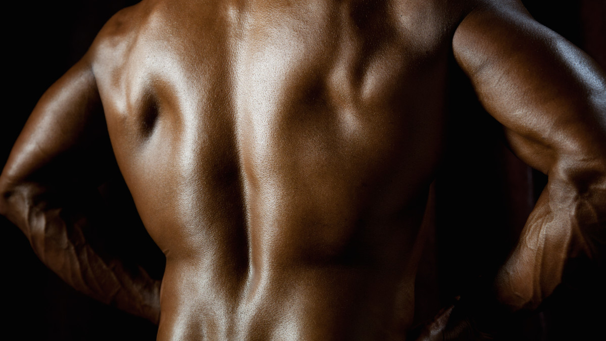 body-builders-back.jpg